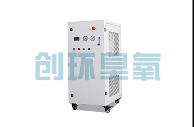 延庆工厂化养鲈必看:2026年臭氧发生器替代传统消毒的最新方案