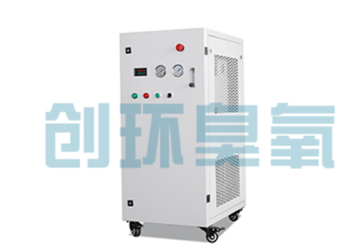 延庆石斑鱼养殖水质调控完整指南：臭氧发生器配置与操作步骤